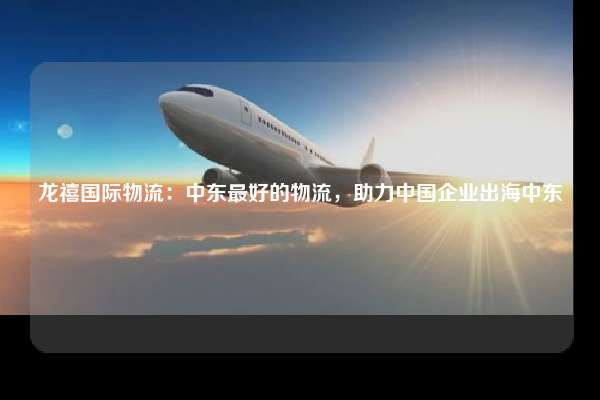 龙禧国际物流：中东最好的物流，助力中国企业出海中东