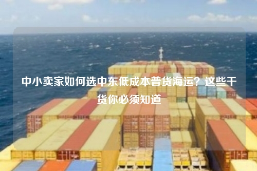 中小卖家如何选中东低成本普货海运？这些干货你必须知道