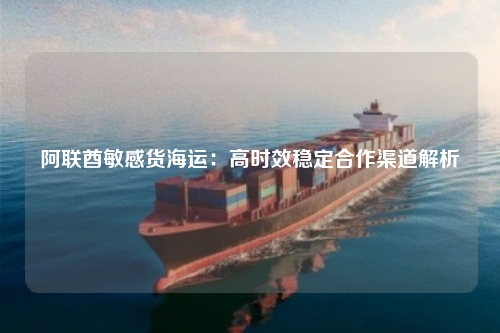 阿联酋敏感货海运：高时效稳定合作渠道解析