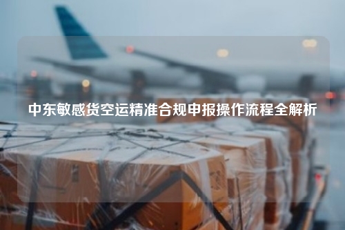 中东敏感货空运精准合规申报操作流程全解析