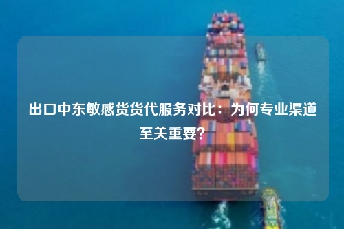 出口中东敏感货货代服务对比：为何专业渠道至关重要？