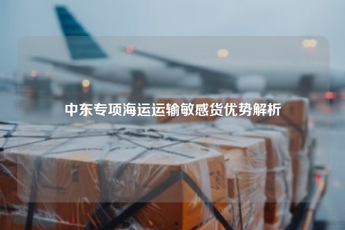中东专项海运运输敏感货优势解析