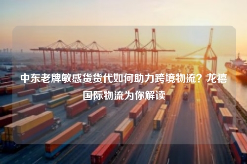 中东老牌敏感货货代如何助力跨境物流？龙禧国际物流为你解读