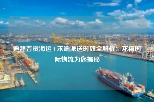 迪拜普货海运+末端派送时效全解析：龙禧国际物流为您揭秘