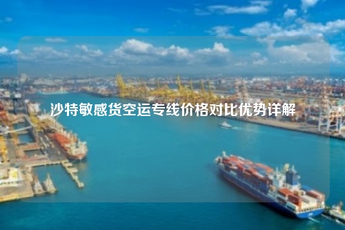 沙特敏感货空运专线价格对比优势详解