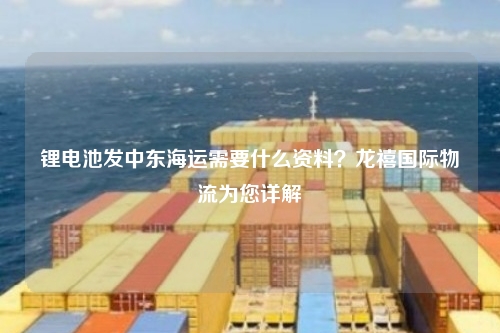 锂电池发中东海运需要什么资料?龙禧国际物流为您详解