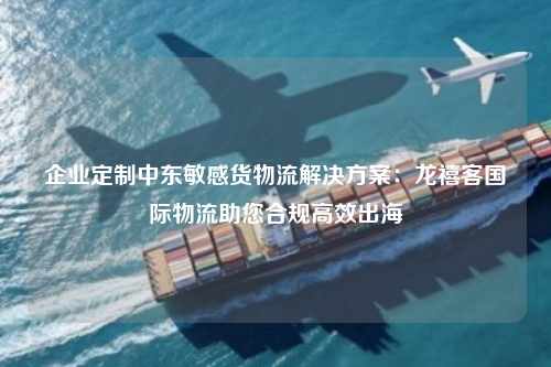 企业定制中东敏感货物流解决方案：龙禧客国际物流助您合规高效出海