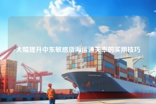 大幅提升中东敏感货海运通关率的实用技巧