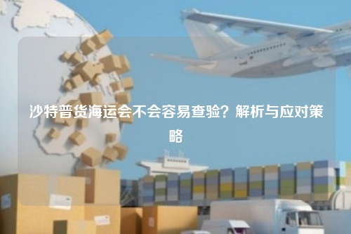 沙特普货海运会不会容易查验?解析与应对策略