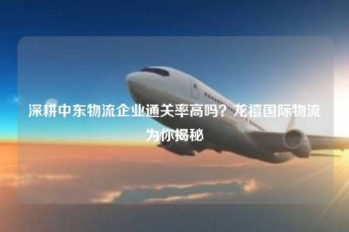 深耕中东物流企业通关率高吗?龙禧国际物流为你揭秘