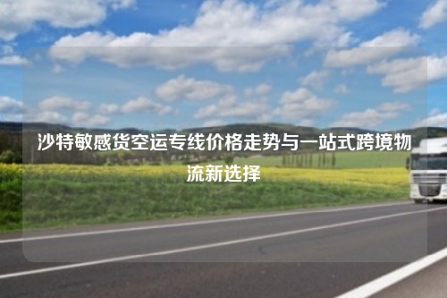 沙特敏感货空运专线价格走势与一站式跨境物流新选择