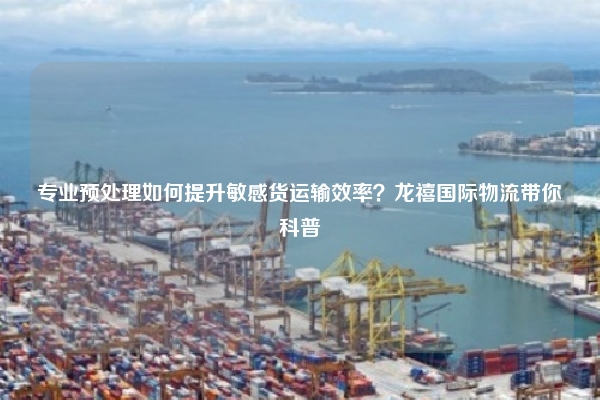 专业预处理如何提升敏感货运输效率?龙禧国际物流带你科普