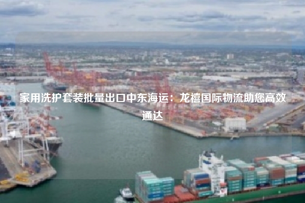 家用洗护套装批量出口中东海运:龙禧国际物流助您高效通达