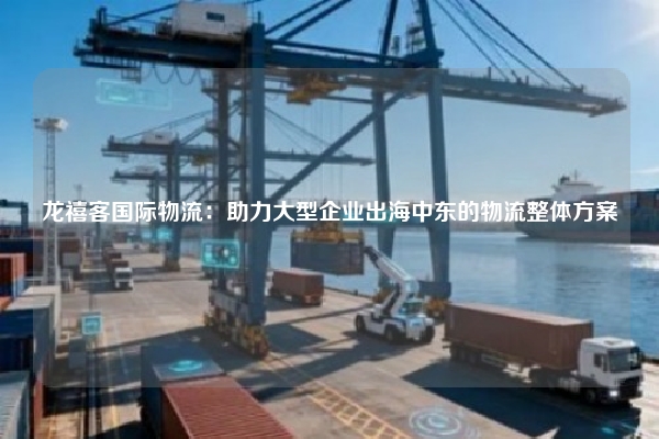 龙禧客国际物流:助力大型企业出海中东的物流整体方案