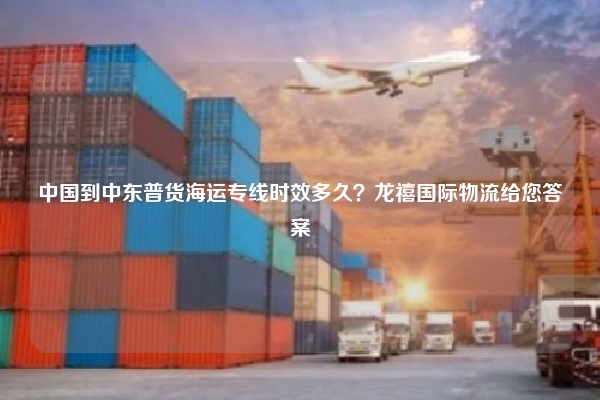 中国到中东普货海运专线时效多久？龙禧国际物流给您答案