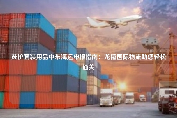 洗护套装用品中东海运申报指南：龙禧国际物流助您轻松通关