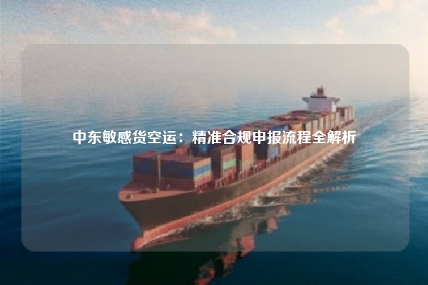 中东敏感货空运:精准合规申报流程全解析
