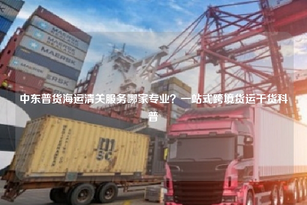 中东普货海运清关服务哪家专业？一站式跨境货运干货科普