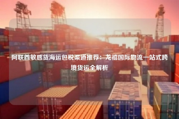 阿联酋敏感货海运包税渠道推荐：龙禧国际物流一站式跨境货运全解析