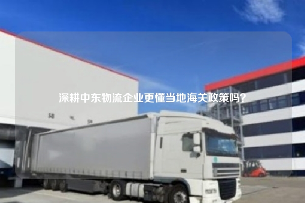 深耕中东物流企业更懂当地海关政策吗?