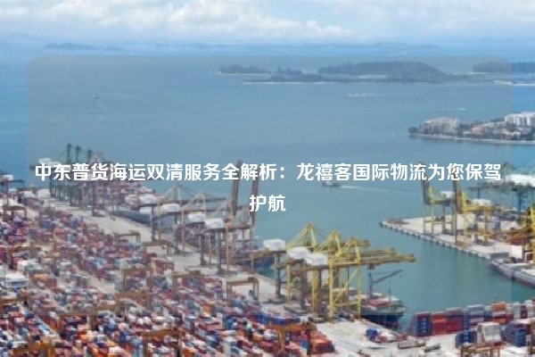 中东普货海运双清服务全解析：龙禧客国际物流为您保驾护航