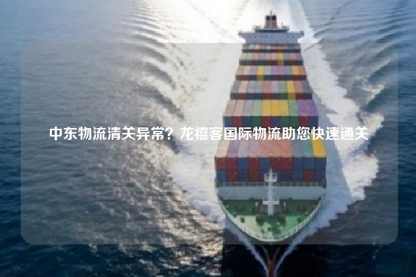 中东物流清关异常？龙禧客国际物流助您快速通关