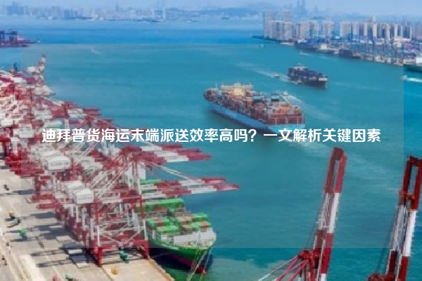 迪拜普货海运末端派送效率高吗?一文解析关键因素