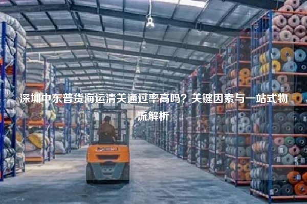 深圳中东普货海运清关通过率高吗?关键因素与一站式物流解析