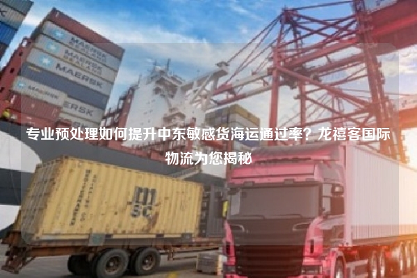 专业预处理如何提升中东敏感货海运通过率?龙禧客国际物流为您揭秘