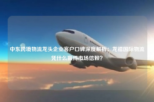 中东跨境物流龙头企业客户口碑深度解析:龙禧国际物流凭什么赢得市场信赖?