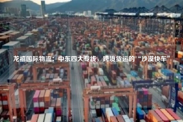 龙禧国际物流:中东四大专线,跨境货运的“沙漠快车”