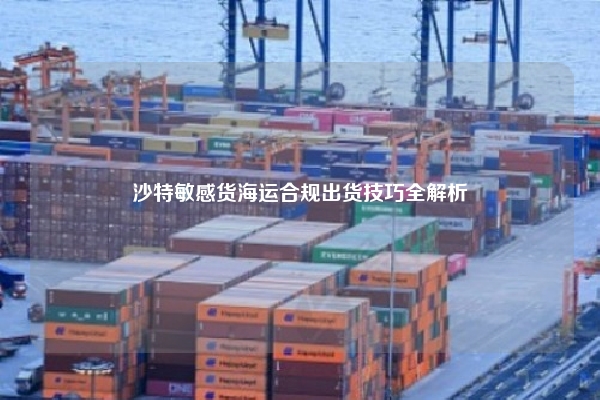 沙特敏感货海运合规出货技巧全解析