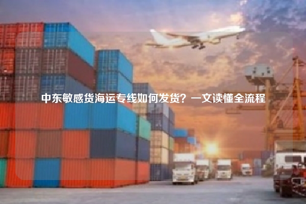 中东敏感货海运专线如何发货?一文读懂全流程