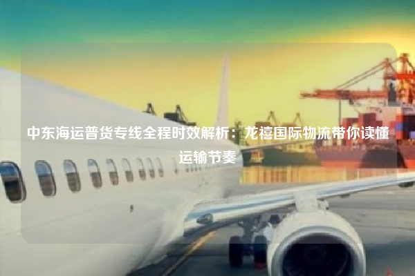 中东海运普货专线全程时效解析:龙禧国际物流带你读懂运输节奏