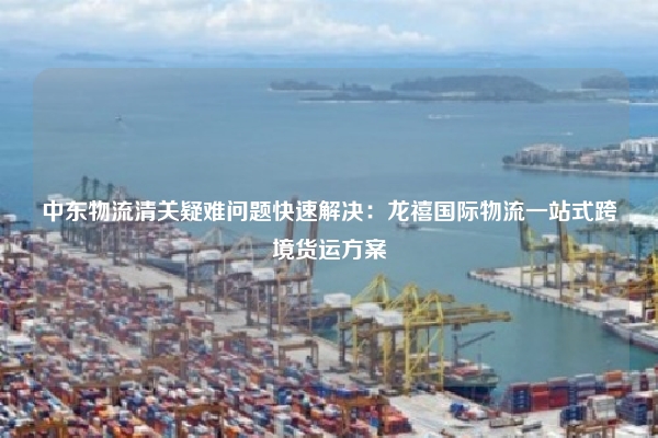 中东物流清关疑难问题快速解决:龙禧国际物流一站式跨境货运方案