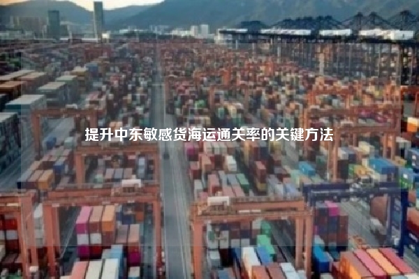 提升中东敏感货海运通关率的关键方法