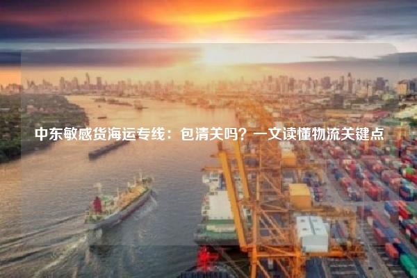 中东敏感货海运专线:包清关吗?一文读懂物流关键点