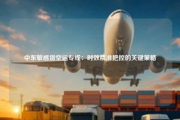中东敏感货空运专线:时效精准把控的关键策略