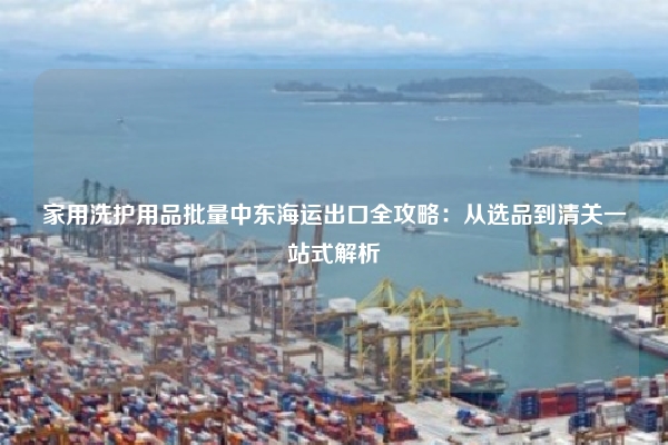 家用洗护用品批量中东海运出口全攻略：从选品到清关一站式解析