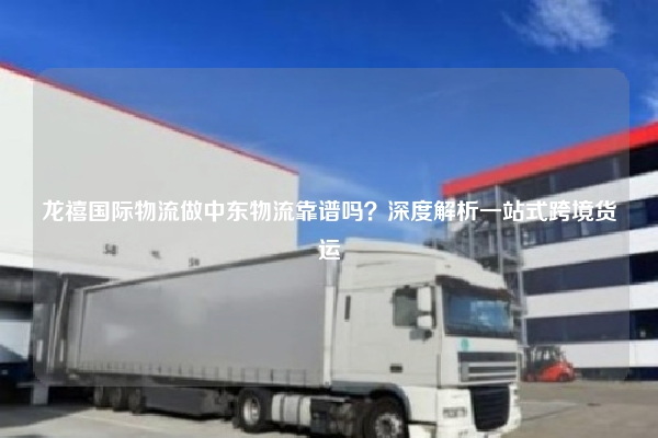 龙禧国际物流做中东物流靠谱吗?深度解析一站式跨境货运