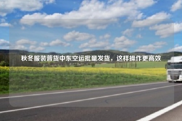 秋冬服装普货中东空运批量发货,这样操作更高效