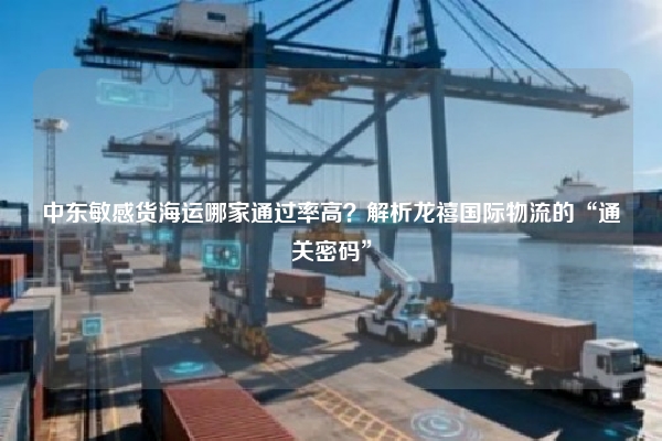 中东敏感货海运哪家通过率高?解析龙禧国际物流的“通关密码”