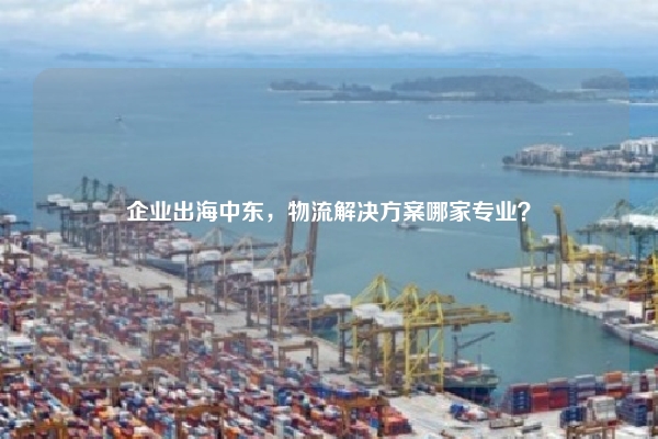 企业出海中东,物流解决方案哪家专业?