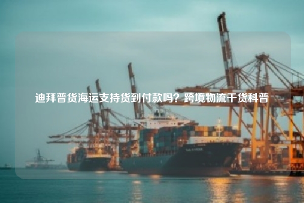 迪拜普货海运支持货到付款吗?跨境物流干货科普