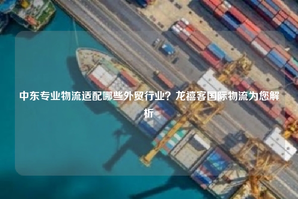 中东专业物流适配哪些外贸行业?龙禧客国际物流为您解析
