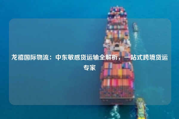 龙禧国际物流:中东敏感货运输全解析,一站式跨境货运专家
