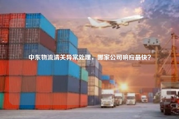 中东物流清关异常处理,哪家公司响应最快?