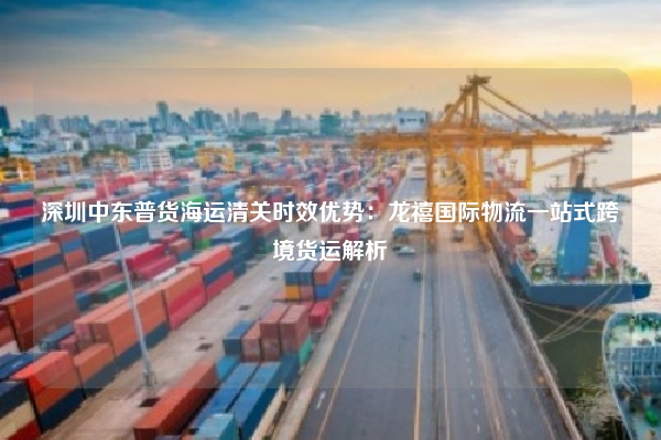 深圳中东普货海运清关时效优势:龙禧国际物流一站式跨境货运解析