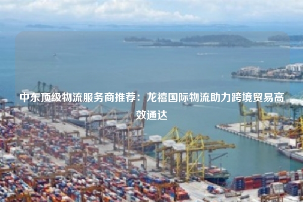 中东顶级物流服务商推荐:龙禧国际物流助力跨境贸易高效通达