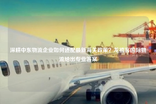 深耕中东物流企业如何适配最新海关政策?龙禧客国际物流给出专业答案